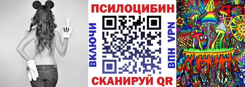 OMG ТОР  Зеленодольск  Псилоцибиновые грибы мицелий 