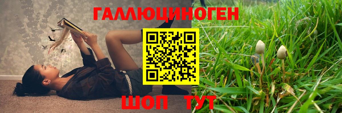 Галлюциногенные грибы Psilocybine cubensis Зеленодольск